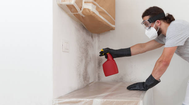 Professional Basement Mold Removal technician working in Sumner, IL